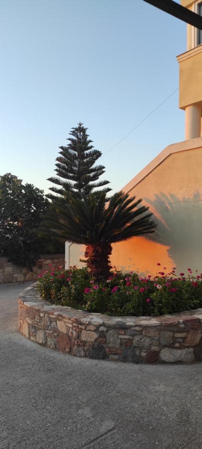 Small Patak House Psalidi  Dış mekan fotoğraf